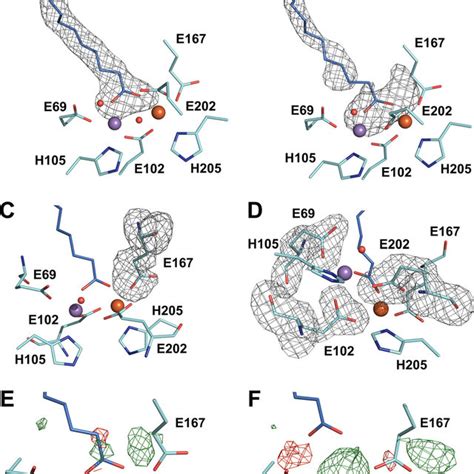 A And B The Active Site Of R2lox In The Reduced A And Oxidized B