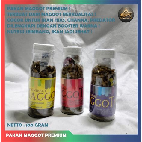 Jual SPESIAL MAGGOT KERING PAKAN PREMIUM CHANNA BOOSTER WARNA IKAN