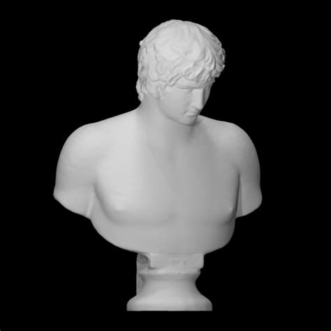 D Printable Bust Of Antinous By Scan The World