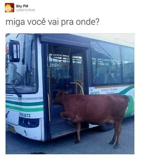 Pin De Débora Ferraz Em Mais Humor Por Favor Fotos Fotos Do Amigo