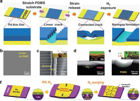 A Schematic Diagrams Of Pd Nanogap Formation Procedure On An