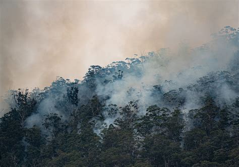 How To Protect Yourself Against Bushfire Smoke This Summer Unsw Newsroom