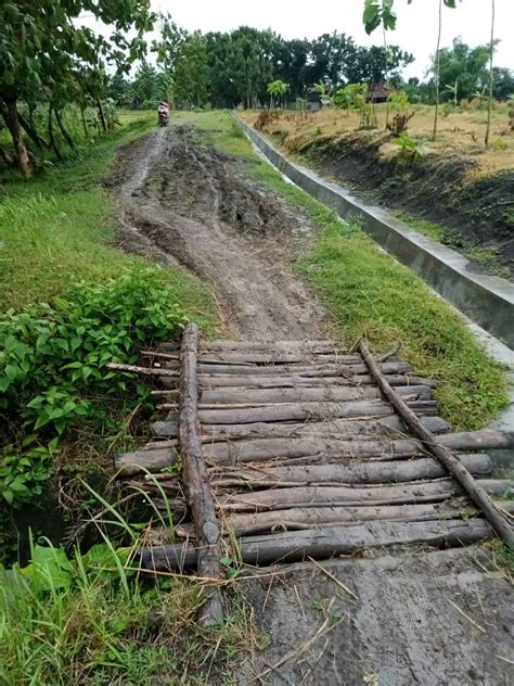 Jalan Menuju Kawasan Hutan Rusak Berat Petani Desa Plosorejo