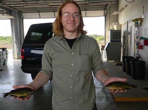 say hello to the new record warmouths for the san marcos river (its a