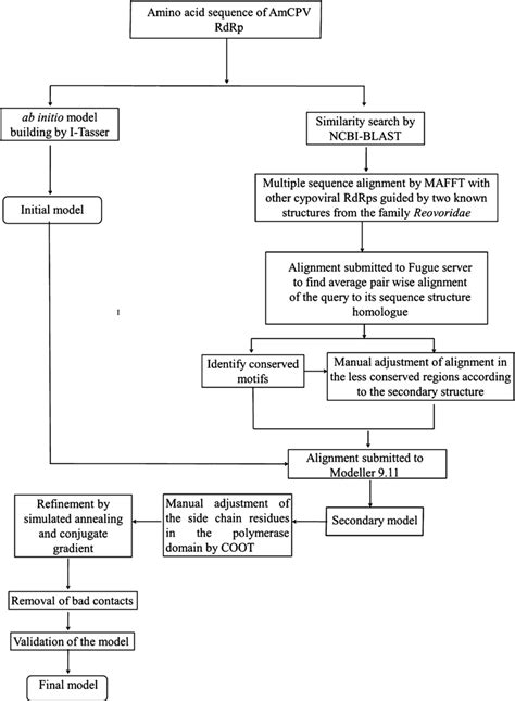 Scheme For Prediction Of Three Dimensional Structure Of Amcpv Rdrp