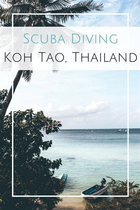 A Guide To Koh Tao Scuba Diving Scuba Diving Diving Scuba Diving