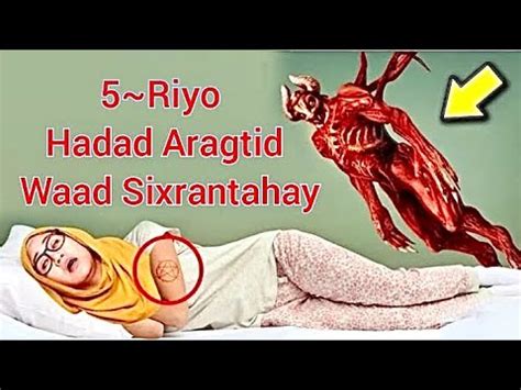 5 Riyo Hadad Kuriyotid Wad Sixrantahay YouTube