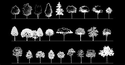 28 Trees Cad Blocks Elevation Views 2d Dwg Cad Blocks Dwg