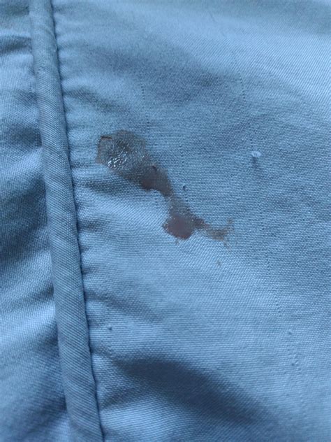 The Cellone secret to getting faster data speeds has leaked 17