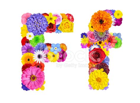 Flower Alphabet Isolated On White Letter F Stock Photo Royalty Free