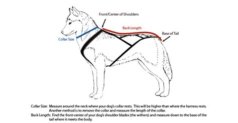 Lx1 Dog Harness Portage North Sundog Sport