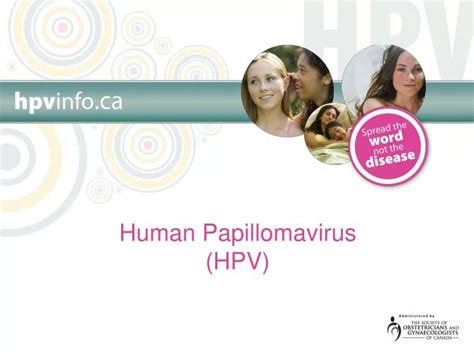 Ppt Human Papillomavirus Hpv Powerpoint Presentation Free Download Id1141099