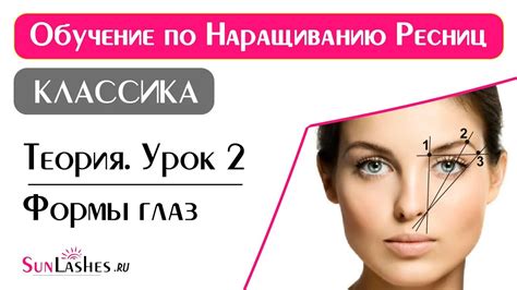 Виды Глаз Фото — Bluemorphotours.ru