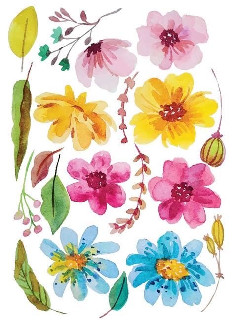 Watercolor Flower Elements Clipart 11954383 Vector Art At Vecteezy