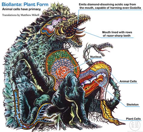 Image How Biollante Worlsimagepng Gojipedia Fandom Powered By Wikia