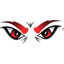 Cincinnati Bearcats Alternate Logo | SPORTS LOGO HISTORY