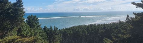 Waiuku Forest Beach Walk, Auckland, New Zealand - 54 Reviews, Map | AllTrails