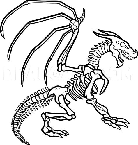 How to draw a dragon skeleton dragon skeleton step by step drawing guide by dawn – Artofit