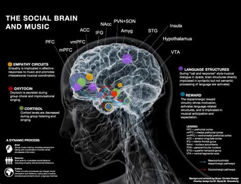 New study: What happens to your brain when you make music with other people | Alan Cross