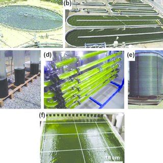 Microalgae Cultivation Systems A Circular Pond Lundquist Et Al