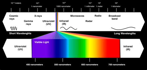 Science8 Semester 1 Chapter 8 Light