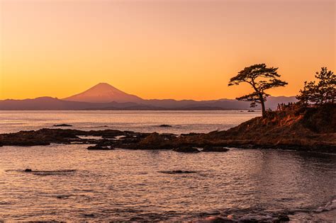 Top Photo Spots At Tateishi Park In 2022