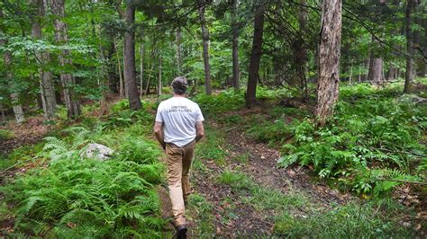 Whetstone Woods In Brattleboro A Vermont Land Trust Property