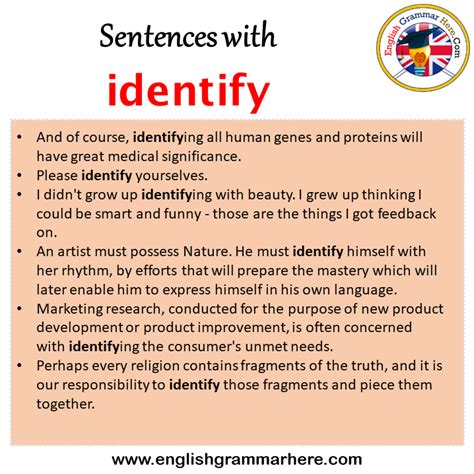 Sentences With Identify Identify In A Sentence In English Sentences For Identify English