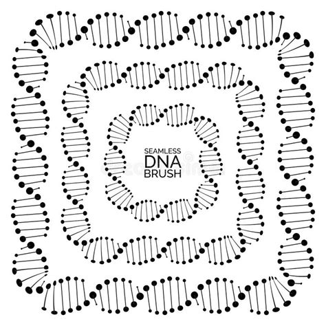 Human Dna Chain Or Genome Helix Molecule Seamless Lines Stock Vector