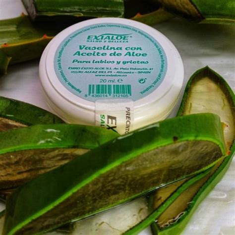 Crema Nutritiva Q De Aloe Ml La Botiga Del Aloe