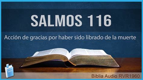 Salmos 116 AcciÓn De Gracias Por Haber Sido Librado De La Muerte 📖