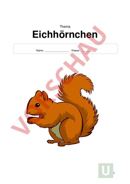 Arbeitsblatt Dossier Eichhörnchen Biologie Tiere