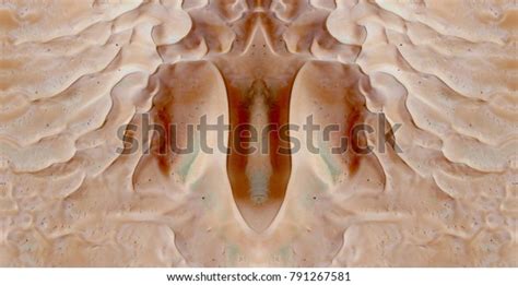 Sex Pussy Vulva Clitoris Vagina Orgasm Stock Photo Edit Now 791267581