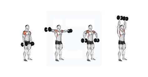 Dumbbell Cuban Press - Guide, Benefits, and Form