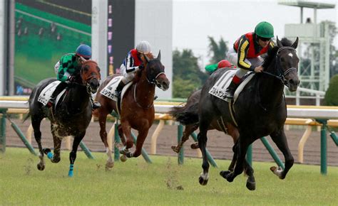 ＜東京競馬5r新馬戦＞レースを制したブルトガング（右端・11番）（撮影・郡司 修） ― スポニチ Sponichi Annex ギャンブル