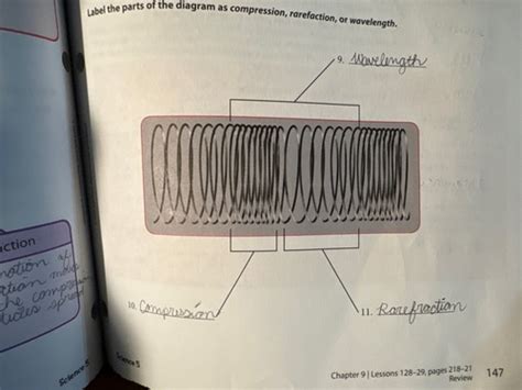 Science Chapter 9 Flashcards Quizlet