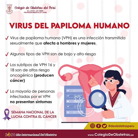 Virus Del Papiloma Humano Colegio De Obstetras Del Perú