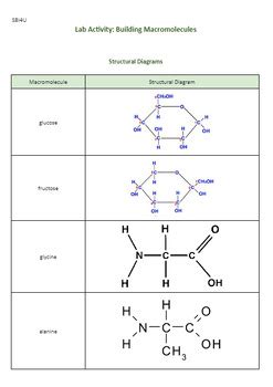 Sbi U Biochemistry Lab Activity Building Macromolecules By Sara Teacherly