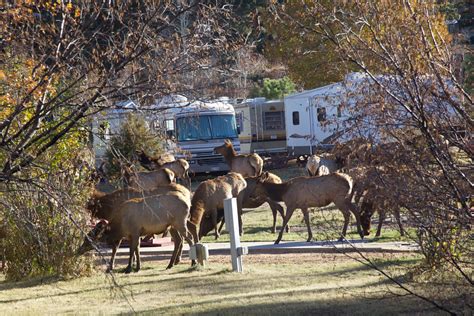 Lodging in Estes Park | Manor RV Park | Trout Haven Resorts