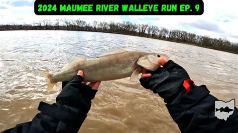 Maumee River Walleye Run Ep Cold Weather Walleye Fishing