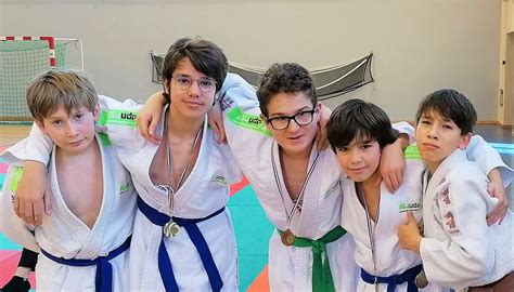 Saint Julien en Genevois Judo une pluie de médailles au championnat