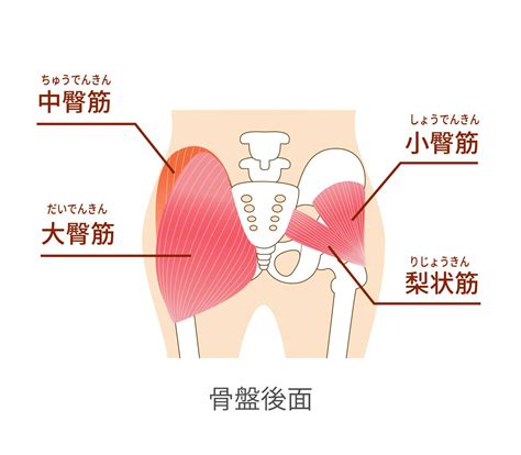 【1分トレ】お尻の筋肉をいろんな方向から鍛えてほぐす！ちょっとキツイけど本気で効く「美尻トレ」 ヨガジャーナルオンライン