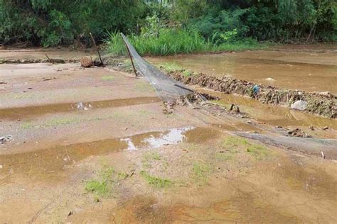 4 3 Hektar Sawah Di Banyupoh Terdampak Banjir Bandang Andalan News