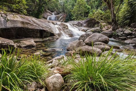 Tropical Rainforest By Stocksy Contributor Neal Pritchard Stocksy