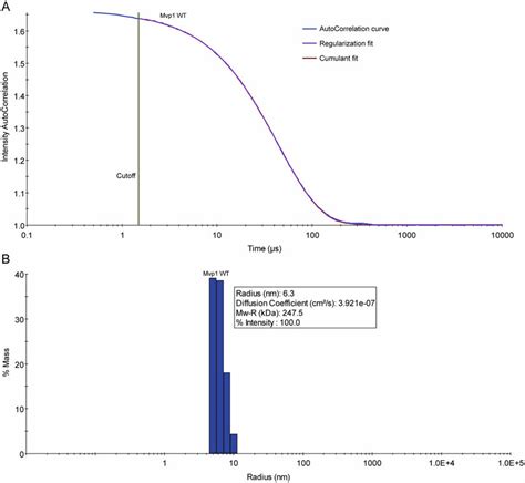 DLS Data Analysis A Representative DLS Autocorrelation Trace For