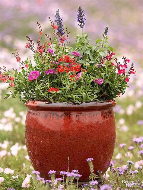 30+ #Awesome #Container #Garden #Flowers #Ideas #For #Beginner - 30 ...