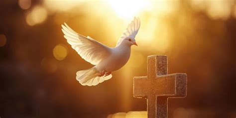 Cross With Dove Stock Photos, Images and Backgrounds for Free Download