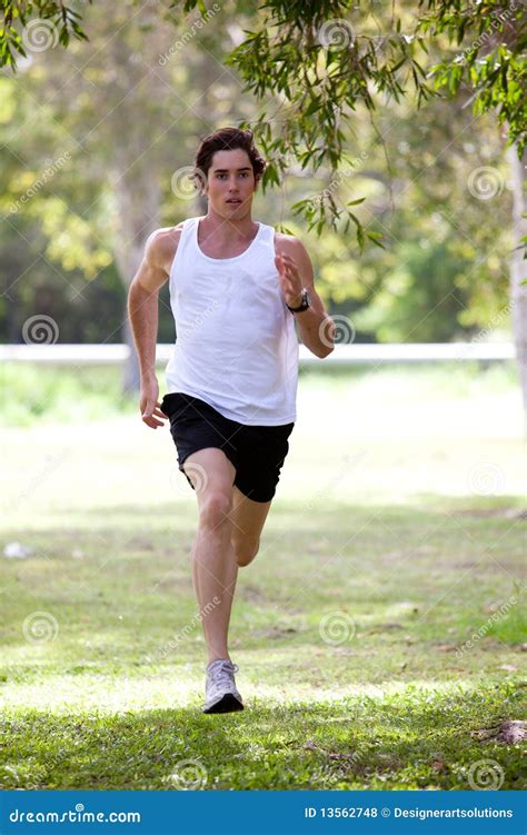 Young Man Jogging In Park Stock Photo Image Of Healthy 13562748