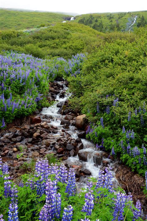 Waterfall And Flowers By Fosspathei On Deviantart