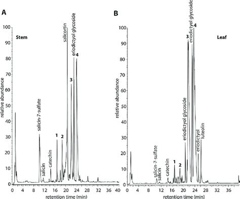 Uhplc Total Ion Chromatograms Of Stem A And Leaf B Tissue Of S